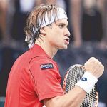 David Ferrer celebra uno de los puntos que le dio la victoria ante Fish y sirvió para que España se meta en las semifinales de la Copa Davis