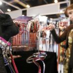 Todos los profesionales del cuidado de animales domésticos encontrarán en Ifema artículos y consejos para mascotas