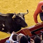 El toro «Ratón» embiste a un joven en un festejo el pasado mes de marzo