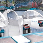 Electrotaxis acuáticos
