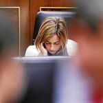 Chacón, ayer, en su escaño del Congreso de los Diputados