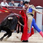 toros_buena