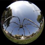 «Maman», de Louise Bourgeois, se expone en la Plaza Nueva de Ginebra
