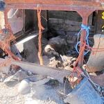 El perro, que tuvo que ser sacrificado ante el lamentable estado en el que se encontraba, estaba atado por las patas y el cuello a un tractor