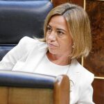 Chacón, ayer, durante el debate en el Congreso