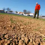 El campo español abocado a la ruina por la sequía