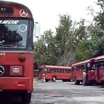 Imagen de uno de los autobuses