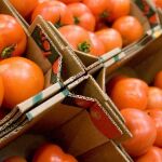 Los tomates son los alimentos más consumidos en España, solo por detrás de las patatas