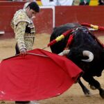 Orejas de domingo frívolo