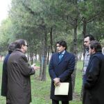 El PP investigará las adjudicaciones en Alcorcón a la empresa del «caso Rollán»