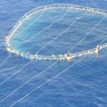 Bruselas veta la pesca del atún rojo