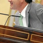 El presidente del Congreso, José Bono