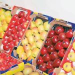 El cartón en agricultura ahorraría 330 millones