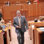 El procurador por IU y portavoz del Grupo Mixto, José María González, regresa a su escaño
