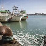 La flota de Barbate es una de las más afectadas