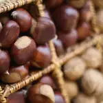 El tratamiento que puede curar las alergias alimentarias