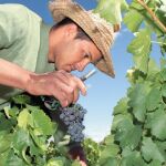 Ruta del vino en Arganda del Rey, en Metro y a pie