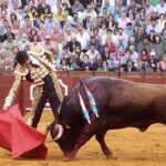 Escan_AG_toros_sevilla_102