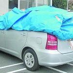 Cuatro hombres y una mujer se suicidaron juntos en una furgoneta, en octubre de 2004, en bosque cercano a Tokyo