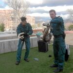 Los agentes del Seprona requisaron una boa y una pitón que se encontraban en un terrario dentro del local