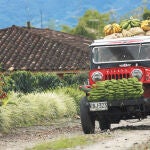 Colombia: tras el perfume del oro negro