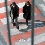 Denuncian a Izaguirre por destinar 9000 euros a una película sobre ETA