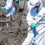 Japón entona el «mea culpa»