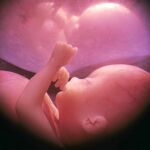 El PP respalda la reforma de Gallardón sobre el aborto por defender el derecho a la vida