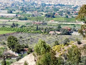 Imagen panorámica de la huerta murciana Imagen panorámica de la huerta murciana