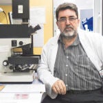 «Las células de médula ósea evitan rechazos»