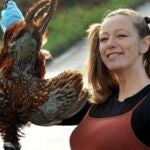 Cocinar animales atropellados, la última estridencia de una taxidermista