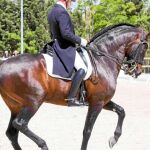 Víctor Álvarez se impone en el emocionante Concurso Nacional de Doma