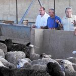 El alcalde de Puerto Lumbreras (izquierda) y el consejero de Agricultura (segundo por la derecha) visitaron ayer una ganadería afectada