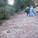 Los técnicos paleontólogos analizan las huellas de dinosaurio encontradas en la Sierra de los Gavilanes, entre Jumilla y Yecla