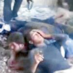 La ONU tacha el vídeo de «crímenes de guerra»