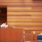 La premisa «más con menos» capitalizará la apuesta de futuro de Herrera para 2012