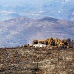 El Consell aprueba ayudas para los afectados por los incendios