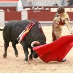 Gallo hambre de sustitución