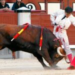 Madrid ya tiene novillero