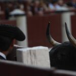 La ILP, esta tarde en Las Ventas