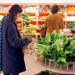 «Green Commerce» un nuevo mercado ecológico