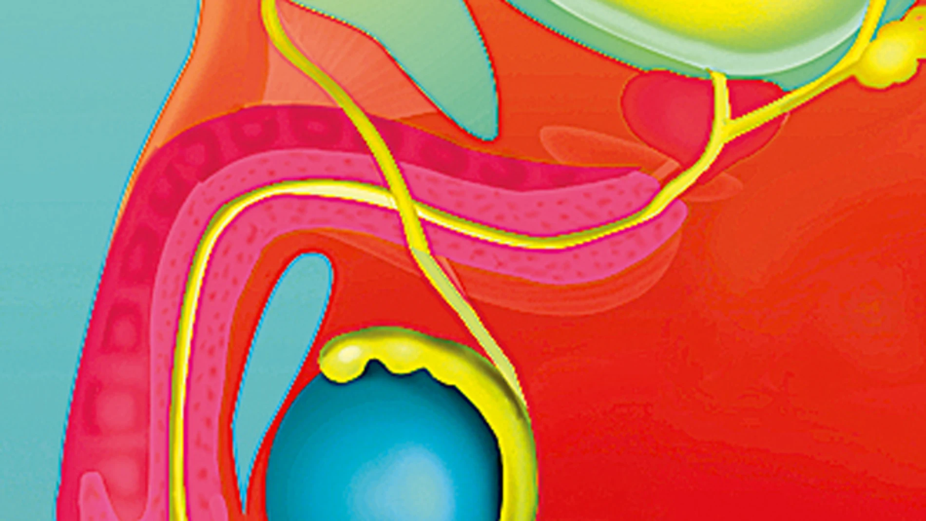 Nuevas terapias para el tumor de próstata