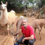 Los animales exóticos un gran negocio