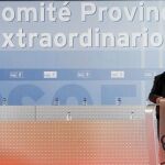 La dimisión de Viera deja en el aire la candidatura de Griñán a la Junta