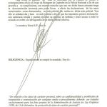 El juez advierte al ex presidente de Invercaria de que prepare un abogado