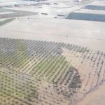 Imagen de los campos anegados por la riada en el municipio de Puerto Lumbreras
