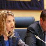 La consejera de Cultura y Turismo, Alicia García, durante su comparecencia, con Pedro González al fondo