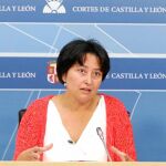 La procuradora socialista, Ángel Marqués, pedirá explicaciones a la Junta con una pregunta oral en el Pleno de las Cortes de mañana