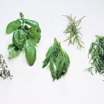 Platos con más aroma