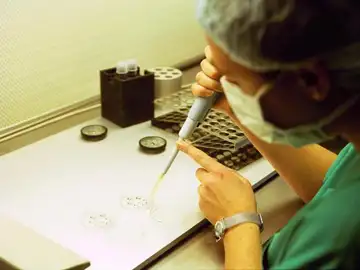 La mitad de las parejas que recurren a la reproducción asistida lo deja tras un primer intento La mitad de las parejas que recurren a la reproducción asistida lo deja tras un primer intento